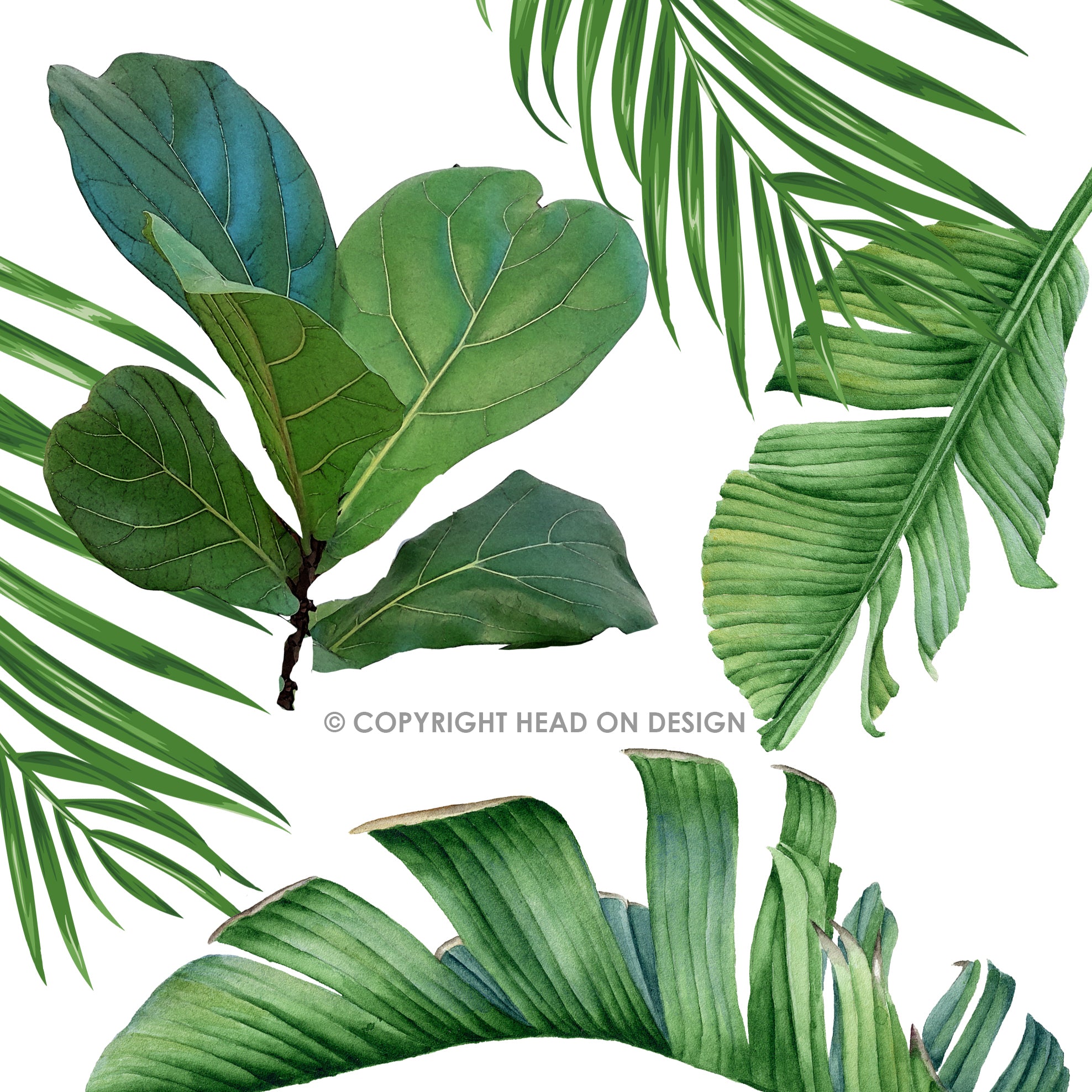 Head On Design, Kudu head, Luscious Leaf