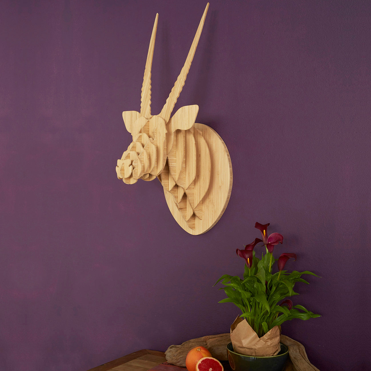 Oryx Trophy Head in Bamboo