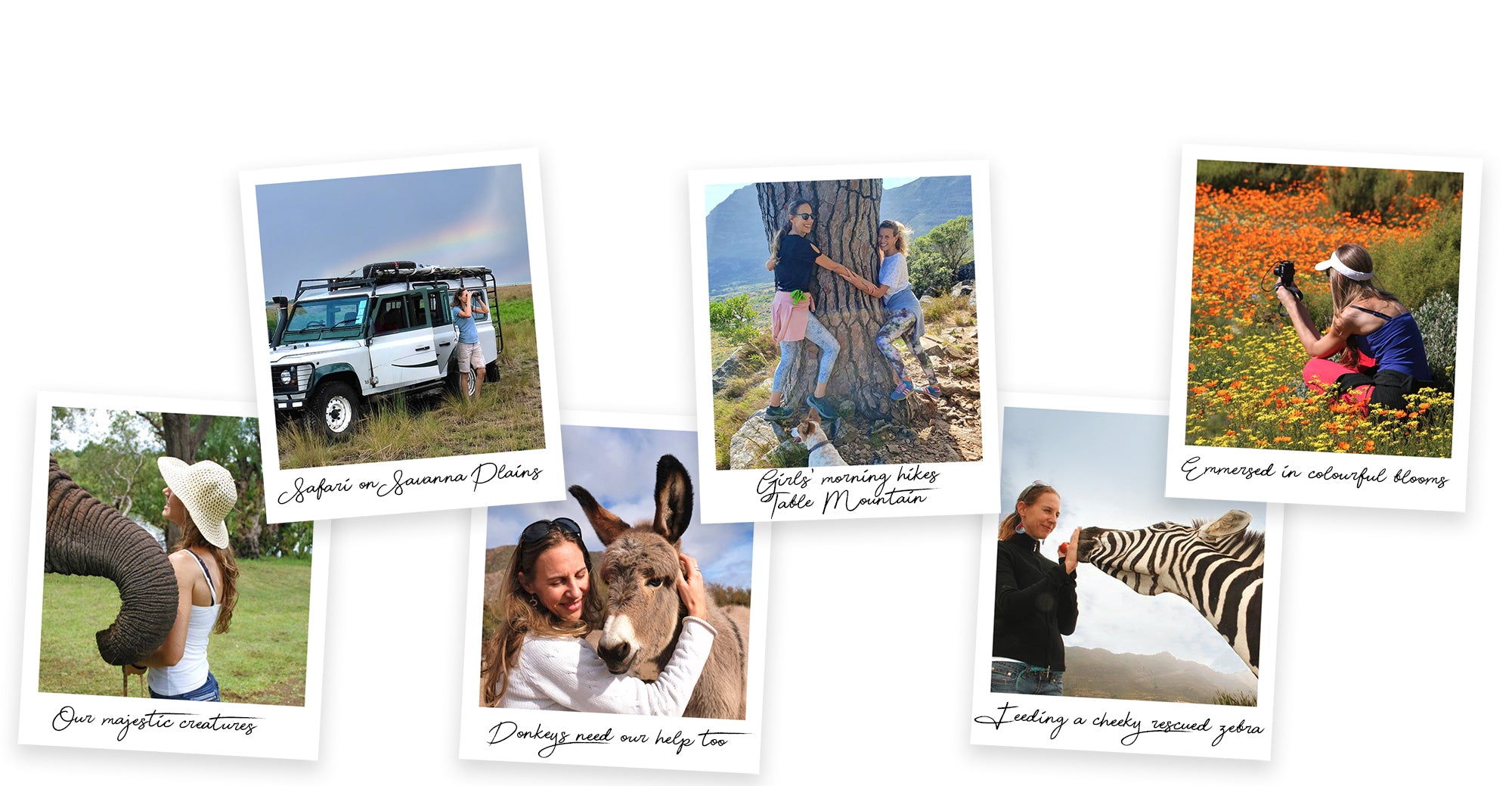 Collection slideshow