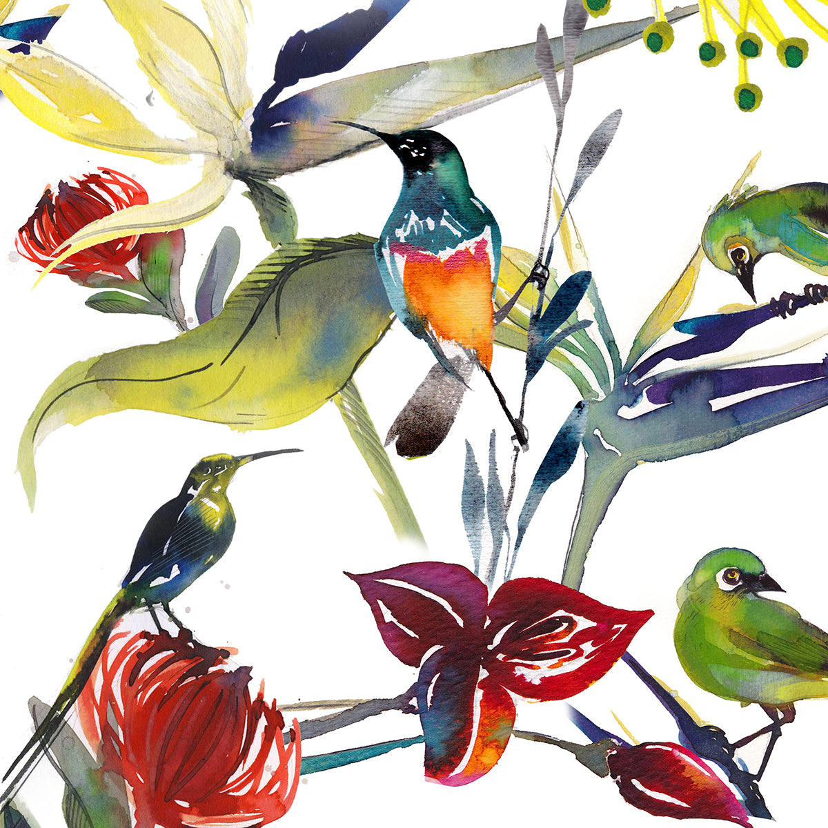 Kudu Artist print head, Fynbos Sugarbirds and proteas