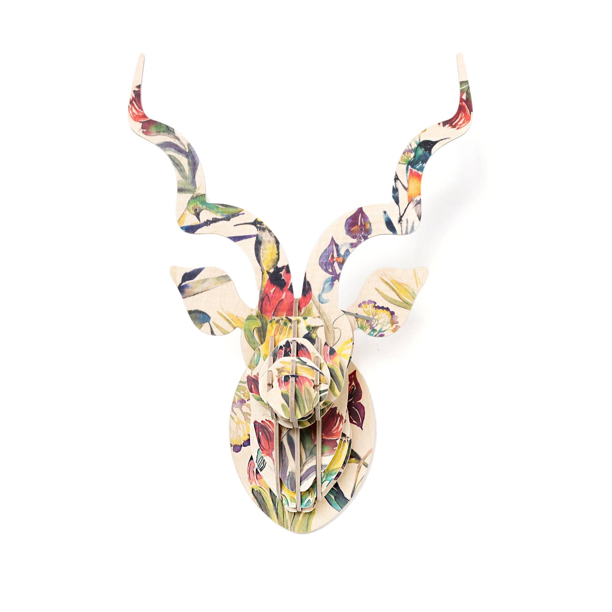 Kudu Artist print head, Fynbos Sugarbirds and proteas, Head On design