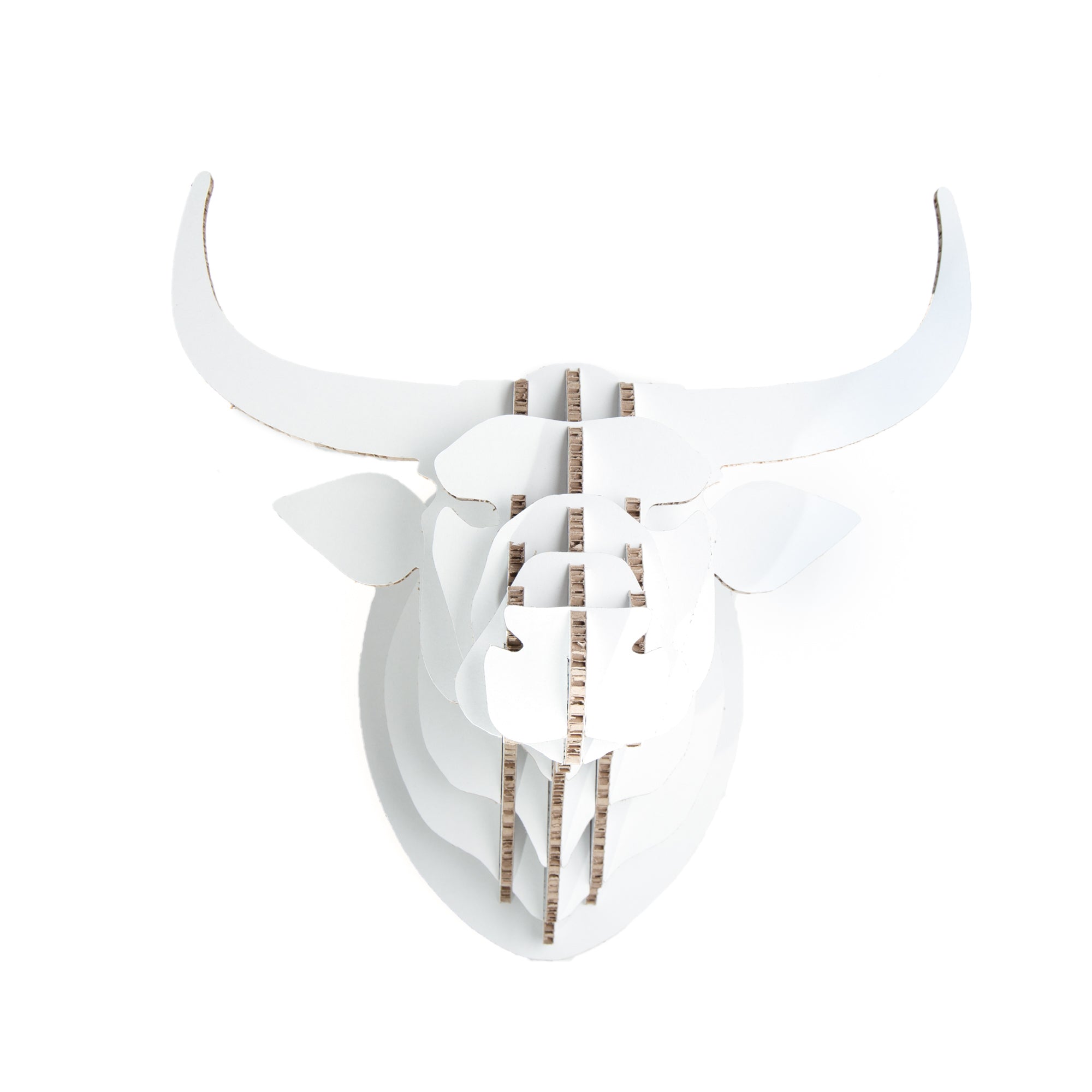 Nguni Trophy Head in X-Board, Head On Design, recycled paperboard